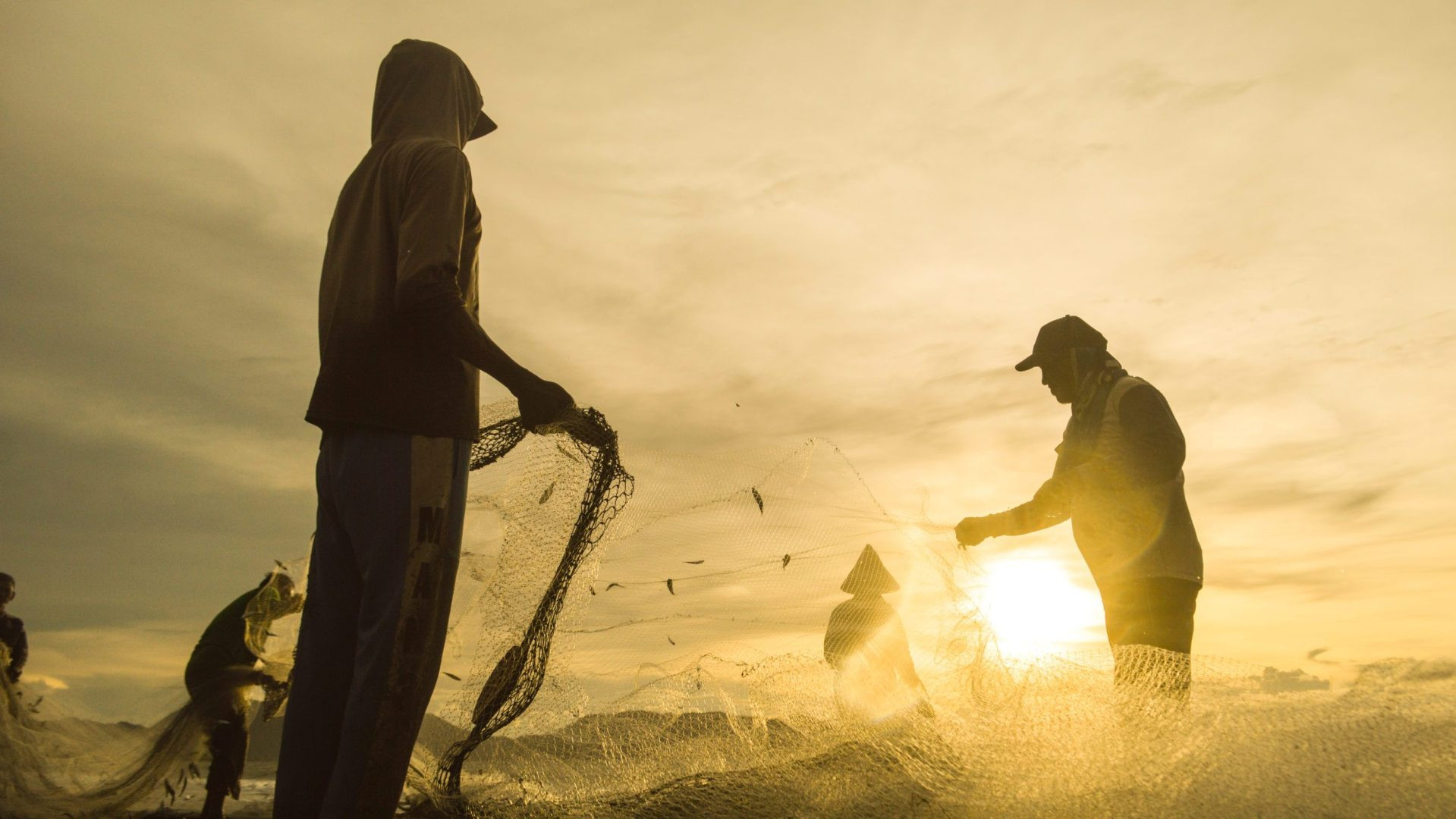 Menjaring Ikan Lewat Tradisi Tarek Pukat